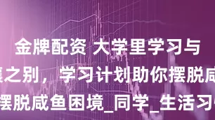 金牌配资 大学里学习与咸鱼的天壤之别，学习计划助你摆脱咸鱼困境_同学_生活习惯_能力