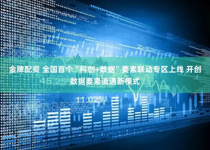 金牌配资 全国首个“科创+数据”要素联动专区上线 开创数据要素流通新模式