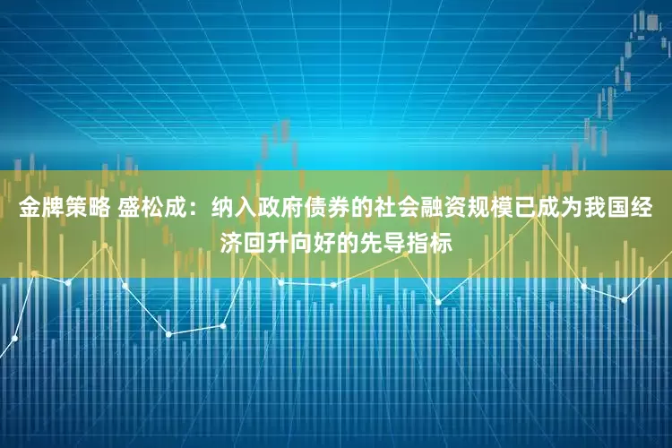 金牌策略 盛松成：纳入政府债券的社会融资规模已成为我国经济回升向好的先导指标