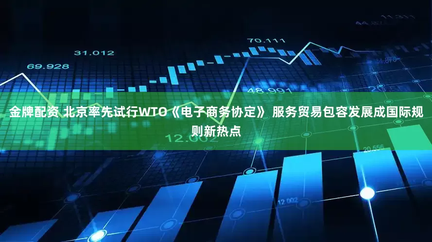 金牌配资 北京率先试行WTO《电子商务协定》 服务贸易包容发展成国际规则新热点